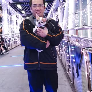 頭像