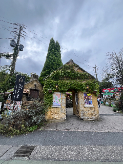 頭像