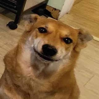 頭像