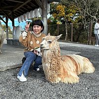 頭像