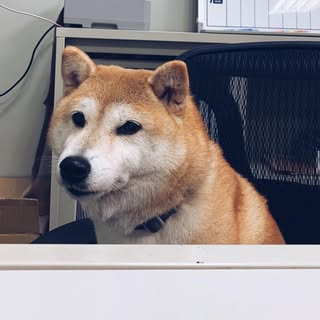 頭像