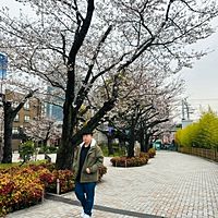 頭像
