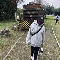 頭像