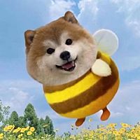 頭像
