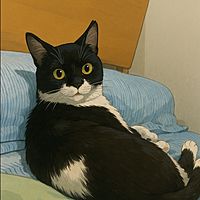 頭像