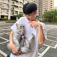 頭像