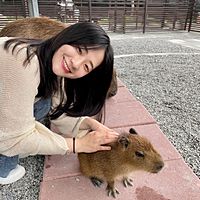 頭像