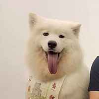 頭像