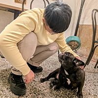 頭像