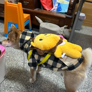 頭像