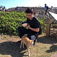 頭像