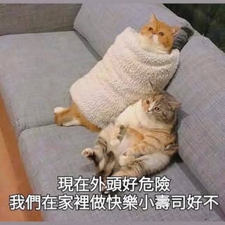 頭像