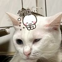 頭像
