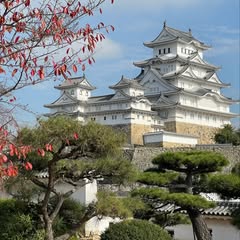 頭像