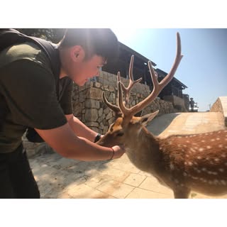 頭像
