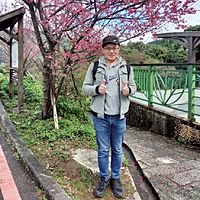 頭像