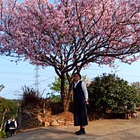 頭像