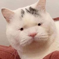 頭像