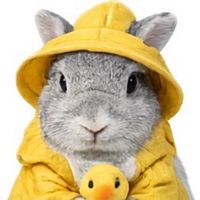 頭像