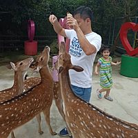 頭像
