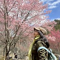 頭像