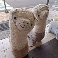 頭像