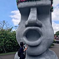 頭像