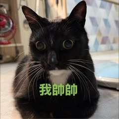 頭像