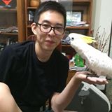 頭像