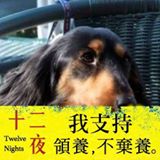 頭像