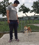 頭像
