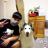 頭像