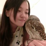 頭像
